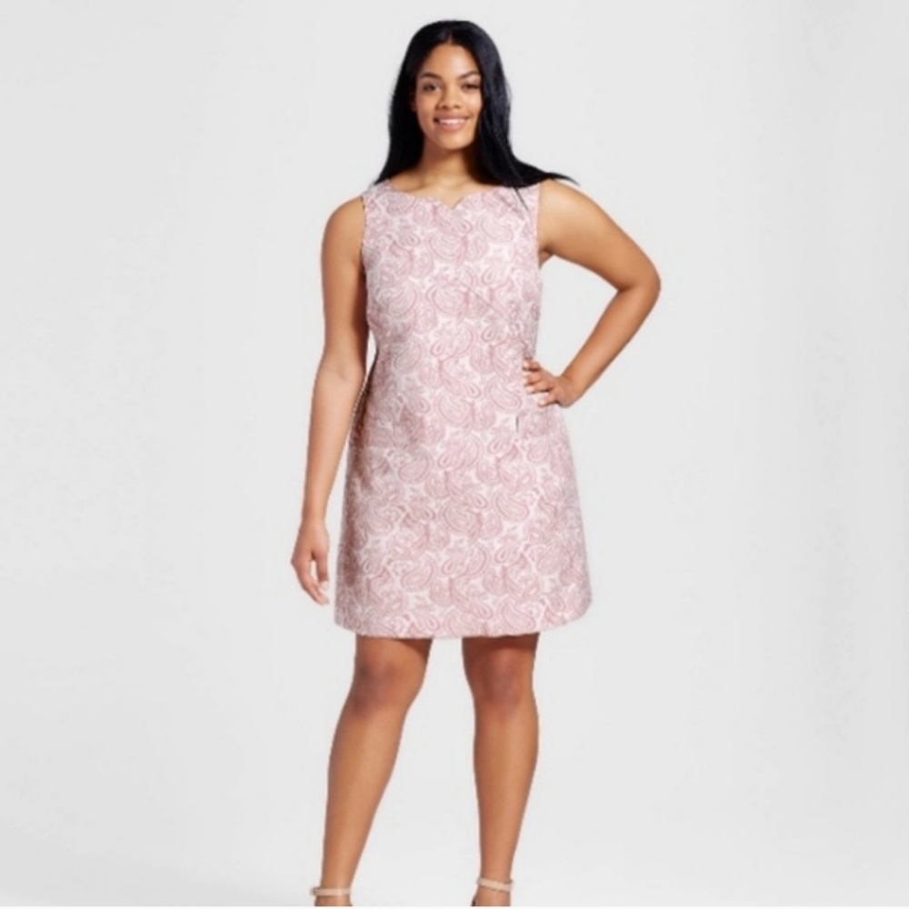Blush Floral Jacquard shift dress